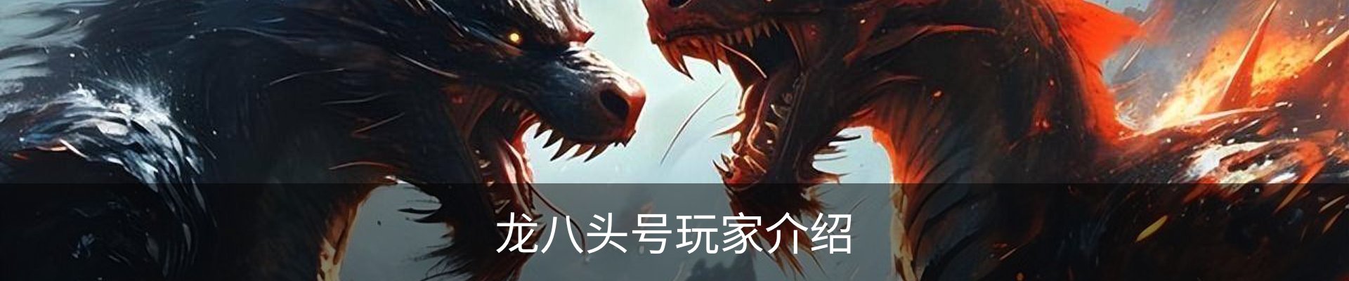 龙八头号玩家介绍